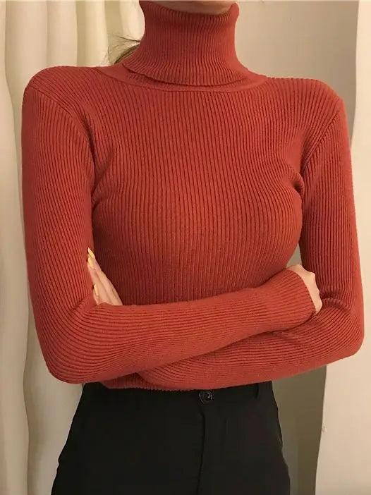 Women’s Knit Turtleneck