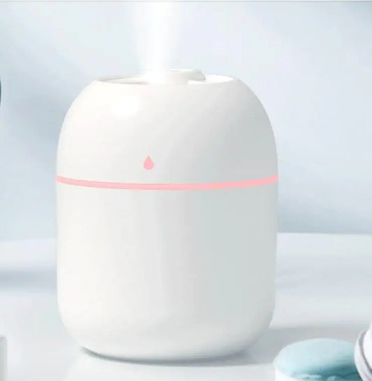 Mini USB Humidifier
